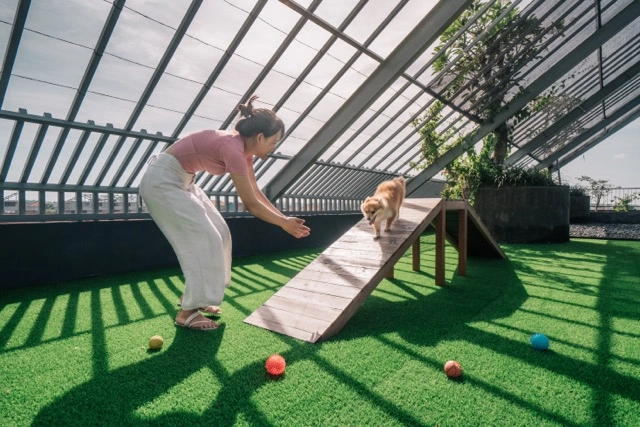 Pet Playground Bali hotel