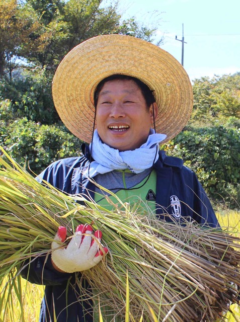 Rice Flower Farmer